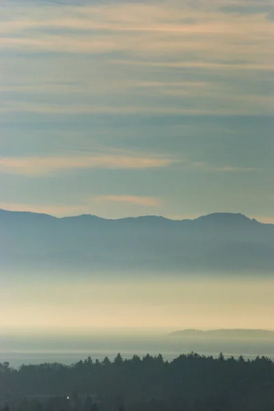 Oszałamiające Kolory Południu Wyspy Vancouver Gdy Słońce Zachodzi Przez Mgliste — Zdjęcie stockowe