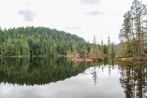 Réflexions Forestières Sur Lac Calme Isolé Île Vancouver — Photo