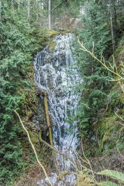 Uma Cachoeira Congelada Gowland Todd Provincial Park Vancouver Island British — Fotografia de Stock