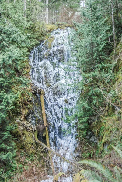 Uma Cachoeira Congelada Gowland Todd Provincial Park Vancouver Island British — Fotografia de Stock