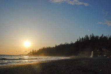 Batı Yakası patikasında Tsusiat Şelalesi 'nin yanında, Vancouver Adası, Kanada