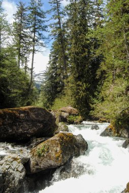 Strathcona Provincial Park, Vancouver Adası, BC, Kanada 'daki Della Falls' dan akan bir dere.