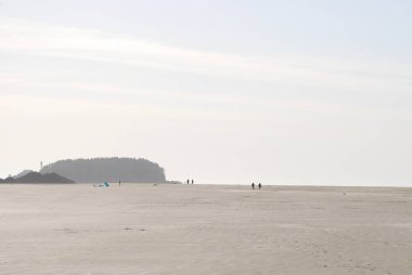 İnsanlar Tofino 'da, BC' de, Kanada 'da kumlu bir sahilde yürüyüş yapmaktan keyif alıyorlar.