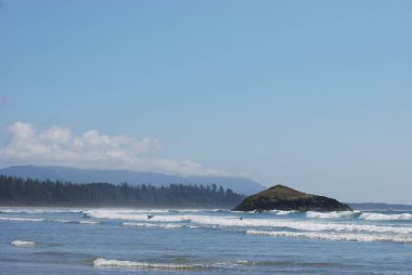 İnsanlar Tofino, BC, Kanada yakınlarındaki kumlu bir sahilde sörf yapmayı öğreniyor.