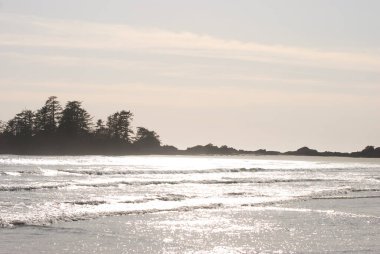 Tofino, BC, Kanada yakınlarındaki kumlu bir plaja çakılırken deniz gün ışığında parıldıyor.