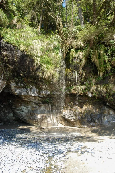 Una Cascada Suave Derrama Exuberante Selva Tropical Sendero Costa Oeste — Foto de Stock