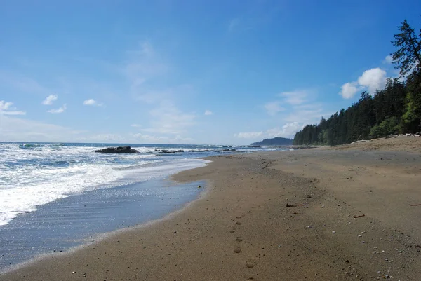 不列颠哥伦比亚省温哥华市西海岸小道上的一个偏远海滩上 海浪冲刷着它 — 图库照片