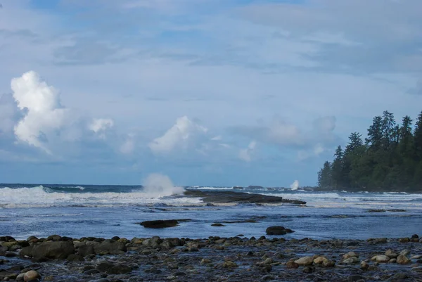 Ondas Oceânicas Colidem Longo Uma Praia Remota West Coast Trail — Fotografia de Stock
