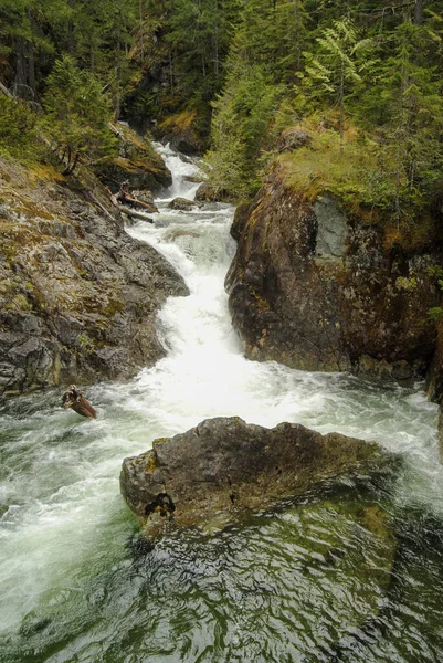 Ein Rauschender Bach Fließt Von Den Della Falls Strathcona Provincial — Stockfoto