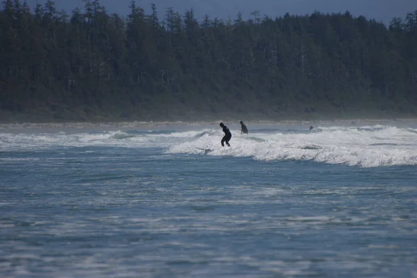People learning to surf on a sandy beach near Tofino, BC, Canada