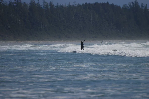 People learning to surf on a sandy beach near Tofino, BC, Canada