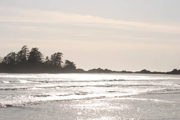 在加拿大不列颠哥伦比亚省托菲诺附近的沙滩上 大海在阳光下闪烁着光芒 — 图库照片