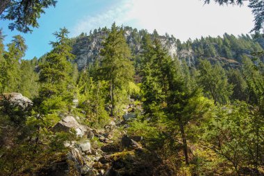 Alp altı arazi Strathcona İl Parkı, Vancouver Adası, British Columbia, Kanada