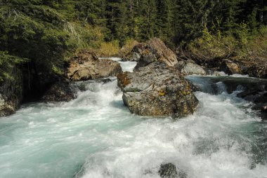 Strathcona Provincial Park, British Columbia, Kanada 'nın derin bir vadisinde