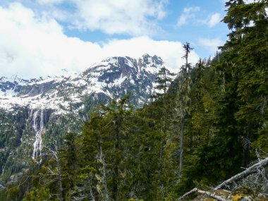 Alp altı arazi Strathcona İl Parkı, Vancouver Adası, British Columbia, Kanada