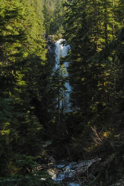 Een Waterval Uitzicht Door Bomen Strathcona Provincial Park Canada — Stockfoto