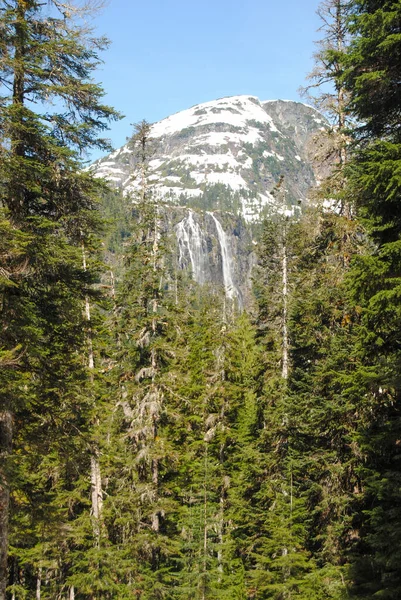 カナダ Bc州ストラスコナ州公園の木を通して滝の景色 — ストック写真