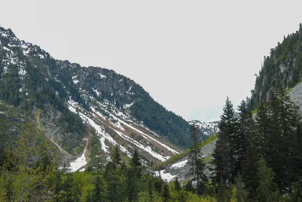 캐나다 브리티시컬럼비아주 밴쿠버 공원의 산지대 — 스톡 사진