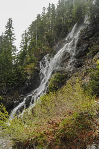 Fluxo Cachoeira Exuberante Floresta Ilha Vancouver Canadá — Fotografia de Stock