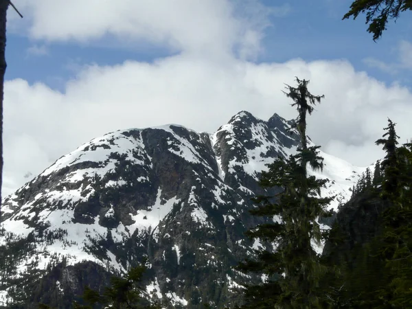 ストラスコナ州立公園 バンクーバー島 ブリティッシュコロンビア州 カナダの雪の山 — ストック写真