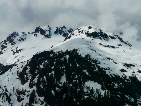 Verschneite Berge Strathcona Provincial Park Vancouver Island British Columbia Kanada — Stockfoto