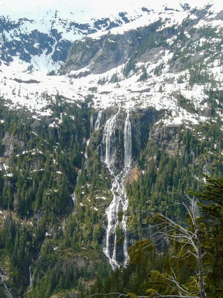 Della Falls Seen Higher Viewpoint Strathcona Provincial Park Vancouver Island — Stock Photo, Image