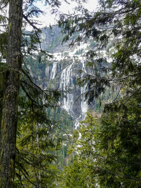 Della Falls Sett Utifrån Högre Synvinkel Strathcona Provincial Park Vancouver — Stockfoto