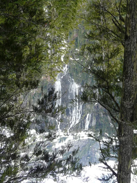 Della Falls Visto Ponto Vista Superior Parque Provincial Strathcona Ilha — Fotografia de Stock