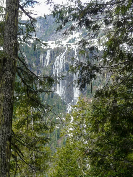 Della Falls Strathcona Provincial Park Vancouver Adası Kanada Yüksek Bir — Stok fotoğraf