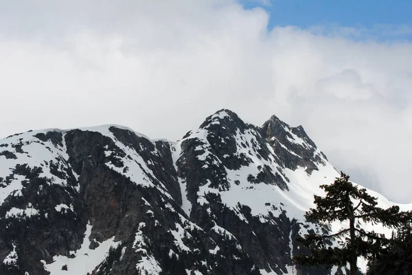 加拿大不列颠哥伦比亚省温哥华市Strathcona省公园雪山 — 图库照片