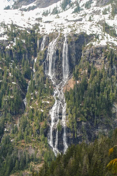 バンクーバー島のデラ滝はカナダで最も高い滝の1つです — ストック写真