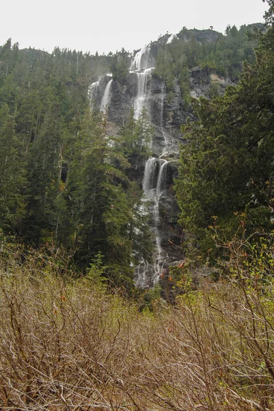 Della Falls Wyspie Vancouver Jest Jednym Najwyższych Wodospadów Kanadzie Obraz Stockowy