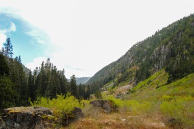 Alp altı arazi Strathcona İl Parkı, Vancouver Adası, British Columbia, Kanada
