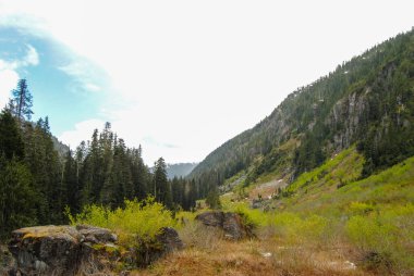 Alp altı arazi Strathcona İl Parkı, Vancouver Adası, British Columbia, Kanada