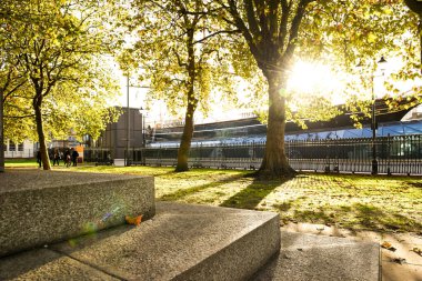 Concrete steps in the foreground of an emtpy autumnal park during fall