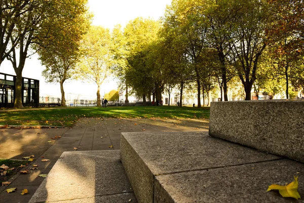 Concrete steps in the foreground of an emtpy autumnal park during fall