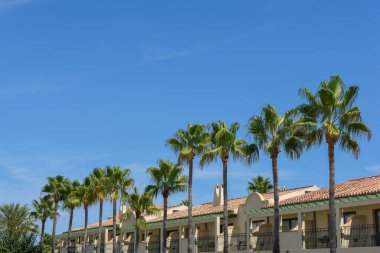 Exterior view of buildings with palm tree lined balconies