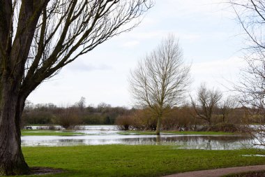 Flood water in a public park after the river banks burst from heavy rain