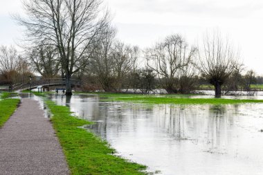 Flood water in a public park after the river banks burst from heavy rain
