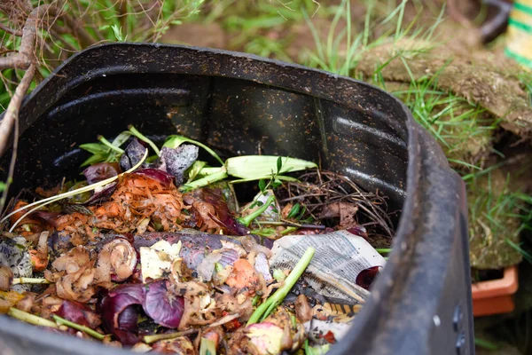 Cestino Riciclaggio Degli Alimenti Produrre Compost Rifiuti Alimentari Domestici Modo Immagine Stock