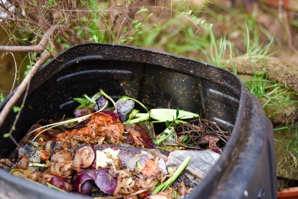 Cestino Riciclaggio Degli Alimenti Produrre Compost Rifiuti Alimentari Domestici Modo Foto Stock