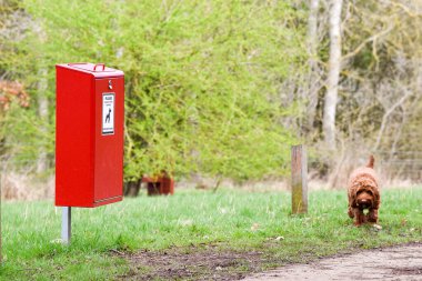 İnsanların evcil hayvanlarının pisliğini temizlemesi için parkta bir çöp kutusu.