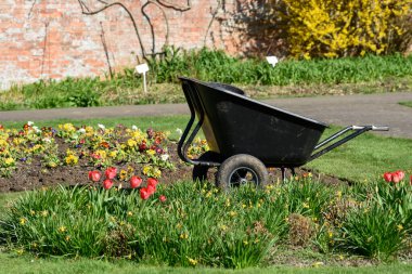 Büyük bahçe çiçek tarlası, güneş ışığı çimlere çiçek ve bitki ekiyor.