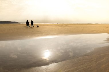 Sahilde köpeklerle yürüyen insanlar.