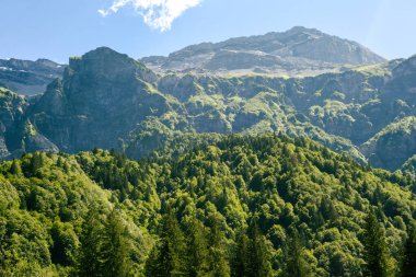 Orman ve dağ manzarası yüksek bir açıyla ağacın tepesinden zirveye kadar manzaralı.