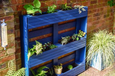 Geri dönüşümlü ahşap palet çevre dostu bir yükseltme projesinde bahçe için ekiciye dönüştürüldü.