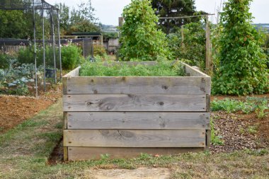 Toplum bahçesindeki bir sebze bahçesinde yetiştirilmiş bir bitkide yetişen bitkiler.