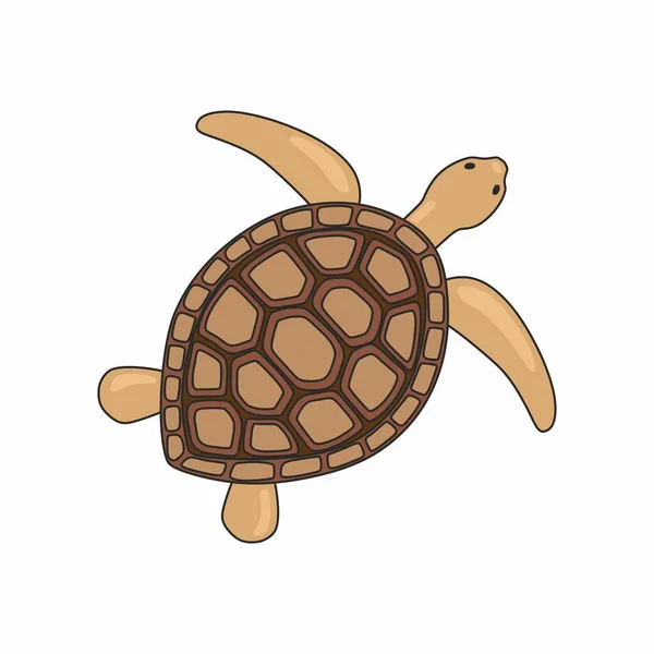 Векторная Иллюстрация Черепахи Морская Жизнь Изолированный Белом Фоне — стоковый вектор