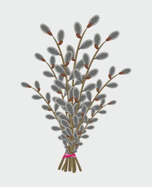 Söğüt ağacı buketi, tasarım elementi ve Paskalya bayramının geleneksel sembolü..