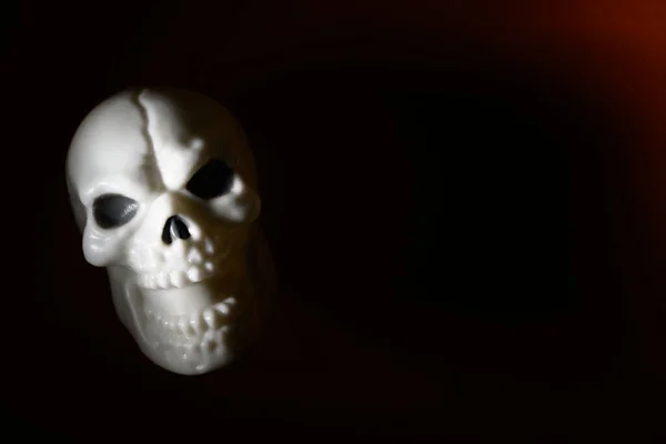 Halloween Totenköpfe Und Knochen Hintergrund Hochwertiges Foto — Stockfoto